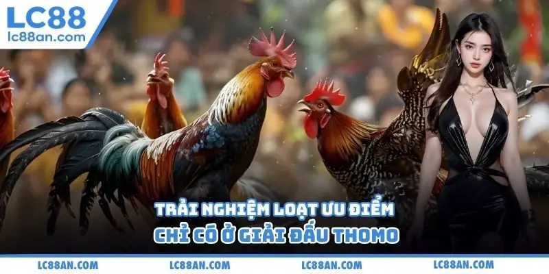 Trải nghiệm loạt ưu điểm chỉ có ở giải đấu Thomo