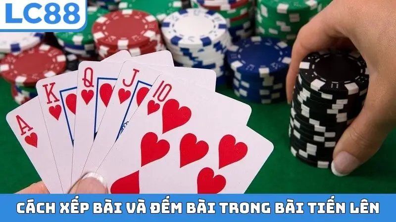 Cách xếp bài và đếm bài trong bài Tiến lên