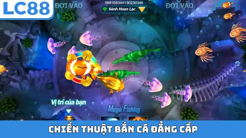 Chiến thuật bắn cá đẳng cấp